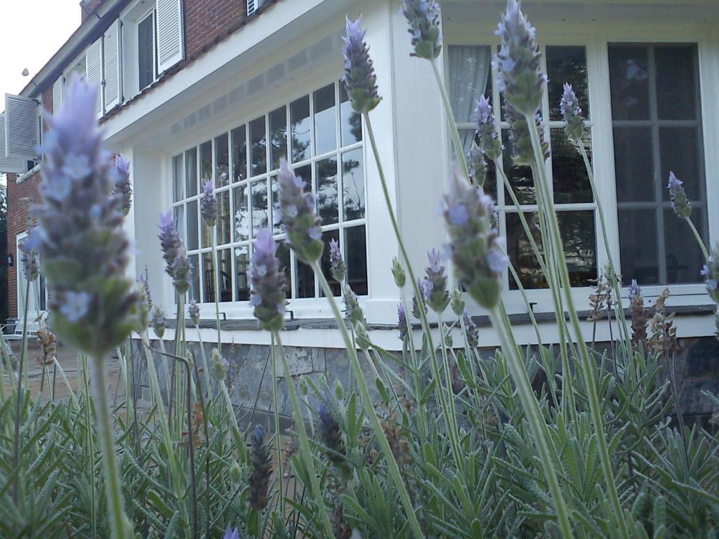 Josephine Boutique Hotel 푼타델에스테 외부 사진