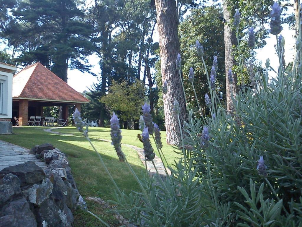 Josephine Boutique Hotel 푼타델에스테 외부 사진